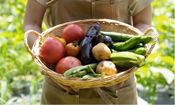 オーガニック野菜（有機農産物）が満たしている有機JAS規格とは？